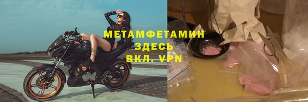 индика Верхний Тагил